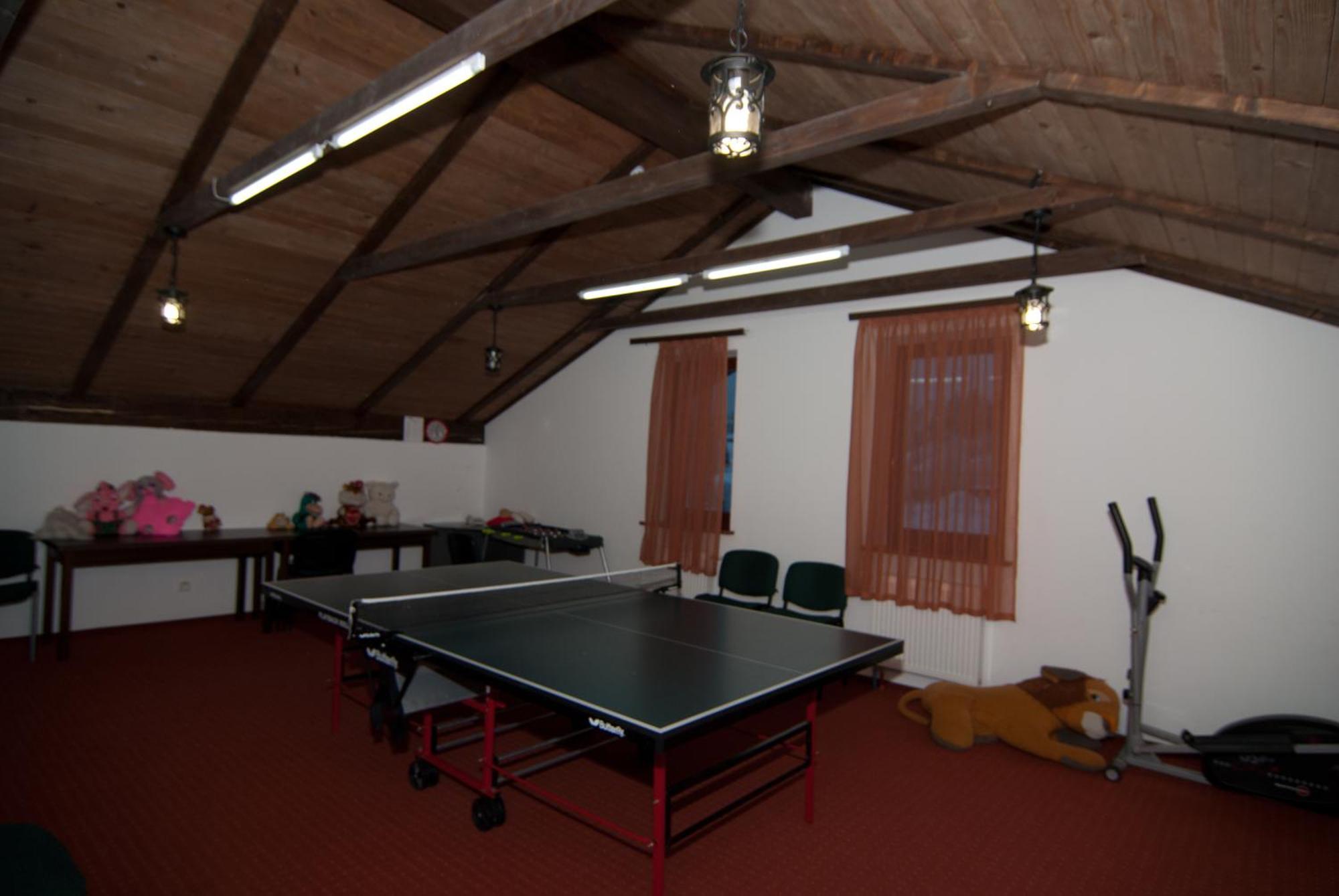 Alpenhof Pansion Hotel Slavske